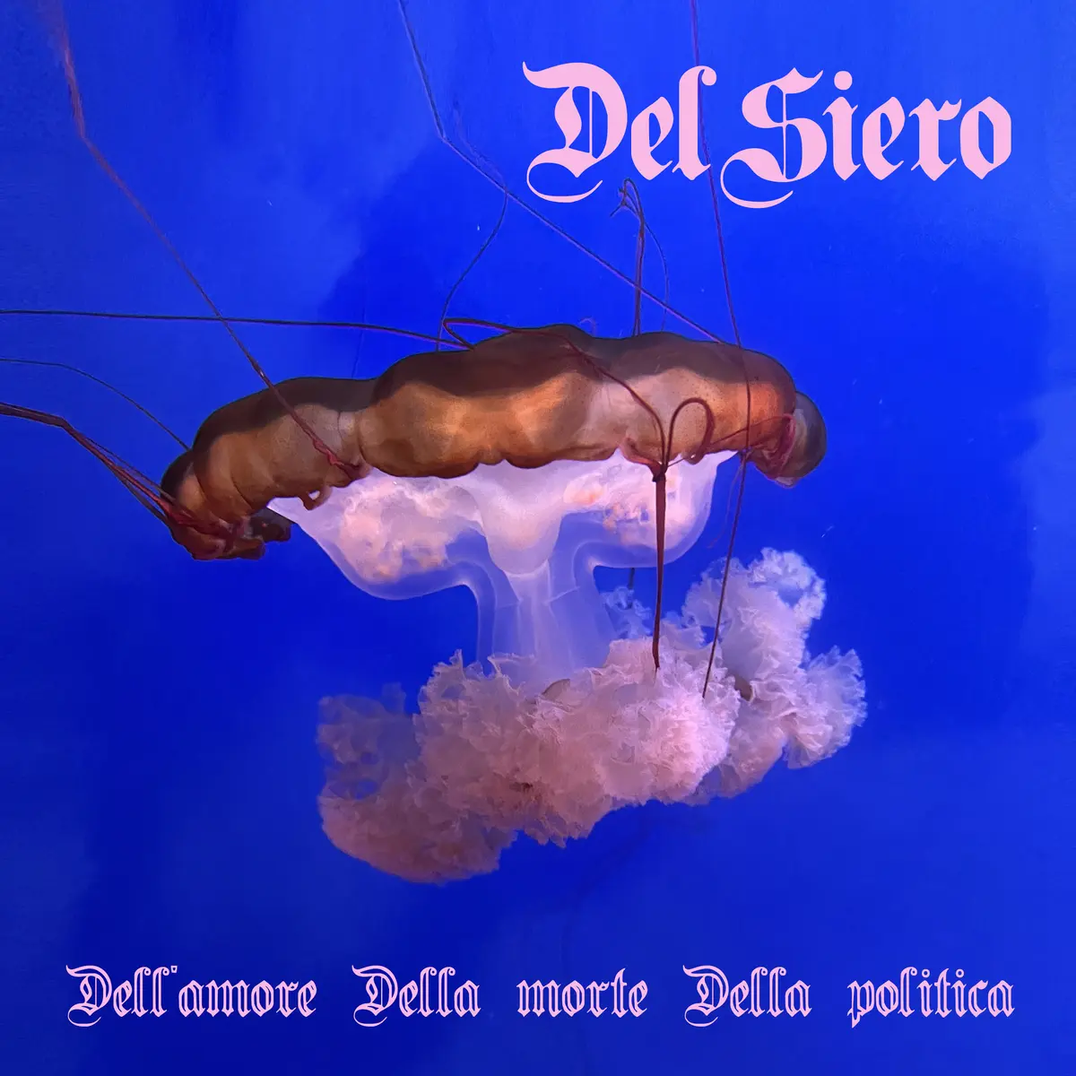 Del Siero